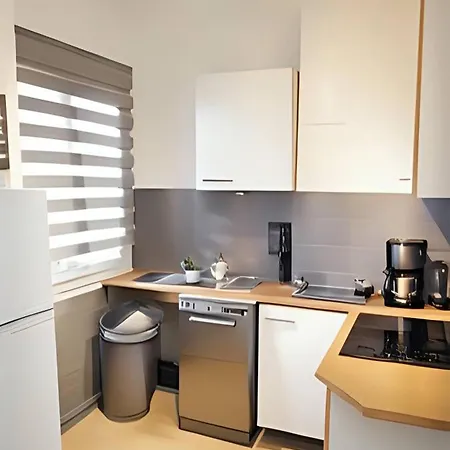 Frgk 'wilson Palace' Ac Wifi Fibre Terrasse 5min Des Plages Apartment *
